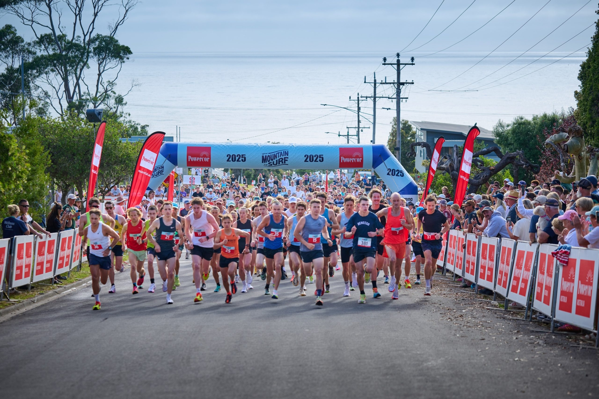 no caption available